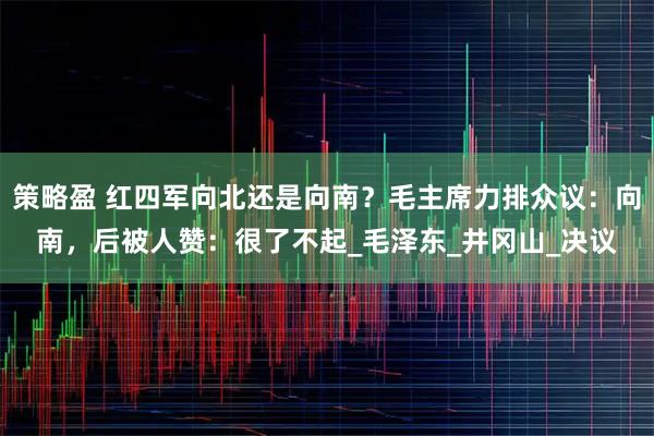 策略盈 红四军向北还是向南？毛主席力排众议：向南，后被人赞：很了不起_毛泽东_井冈山_决议