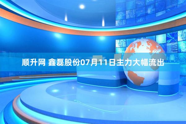 顺升网 鑫磊股份07月11日主力大幅流出
