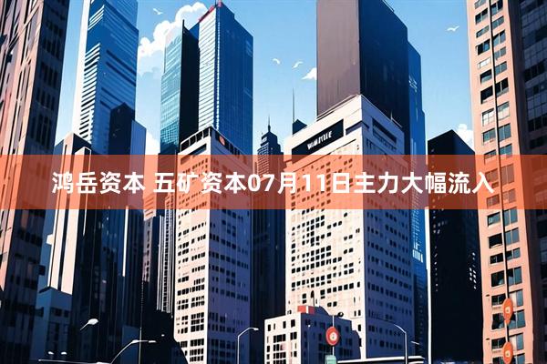 鸿岳资本 五矿资本07月11日主力大幅流入