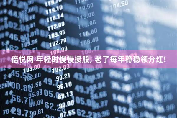 倍悦网 年轻时慢慢攒股, 老了每年稳稳领分红!