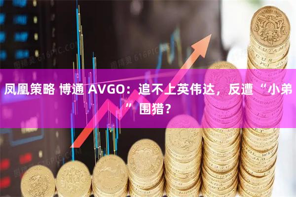 凤凰策略 博通 AVGO：追不上英伟达，反遭 “小弟” 围猎？